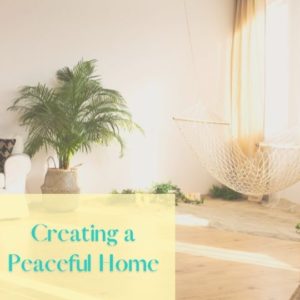 Peaceful home image of plant and swinging chair in a well lit room
