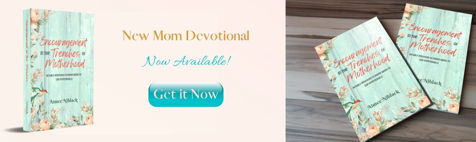 Encouragement in the Trenches of Motherhood devotional picture with button to buy